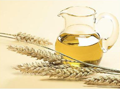 ulje pšeničnih klica u staklenom vrču i klas pšenice